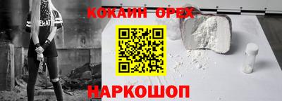 хмурый Кингисепп