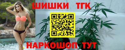 хмурый Кингисепп