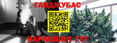 хмурый Кингисепп