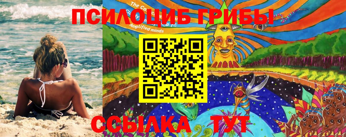 Псилоцибиновые грибы Cubensis  Галлюциногенные грибы Cubensis  Вход с VPN  Чехов 
