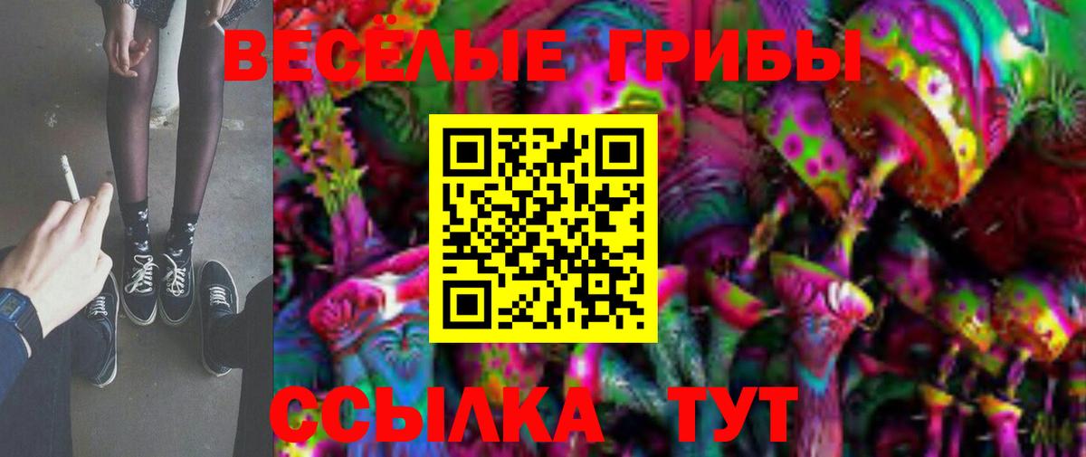 Псилоцибиновые грибы мухоморы Чехов